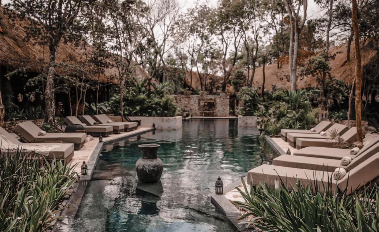 Vida Jungle Apart 1 With Special Fee To Access Hotel Bardo ตูลุม ภายนอก รูปภาพ